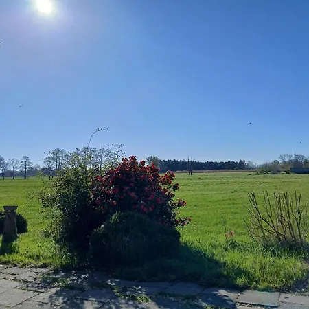Haus Am Kirschbaum Ferienhaus *